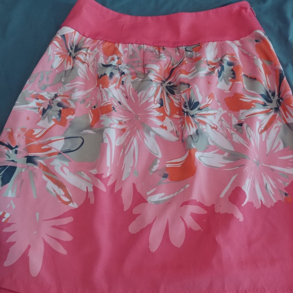 The Limited skirt.